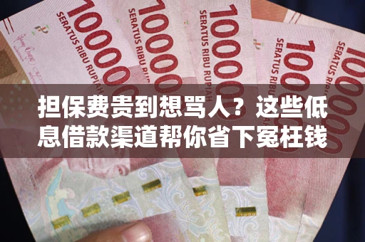 济南担保费贵到想骂人？这些低息借款渠道帮你省下冤枉钱