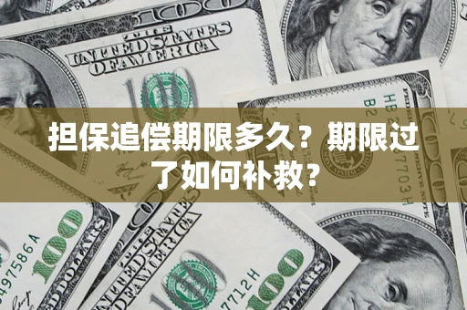 济南担保追偿期限多久？期限过了如何补救？